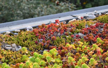 the cost of Lower Strode green roof installation