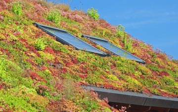 Lower Strode living roof systems