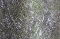 Lower Strode fibreglass roof work