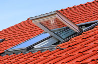 Lower Strode roof window